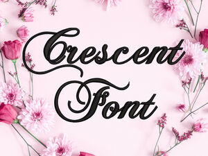 Calligraphic Font Machine Embroidery Designs