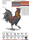 Colorful Rooster - 8 sizes