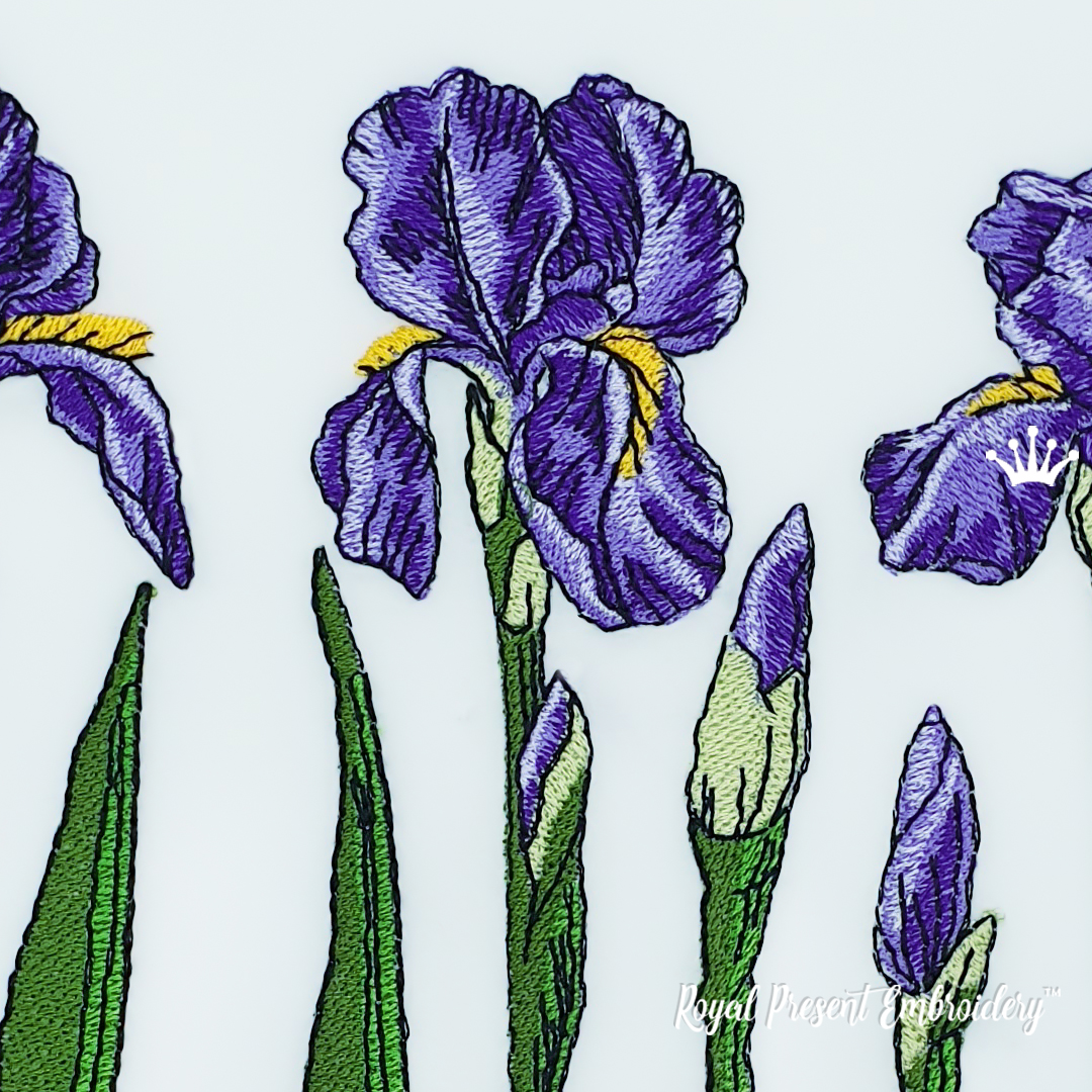 Irises Flowers Machine Embroidery Designs 3 sizes Royal Present