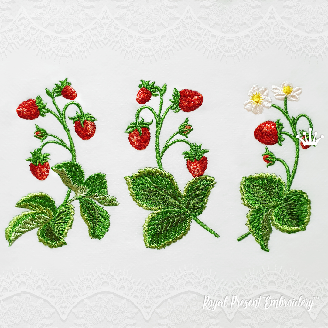 Strawberry Embroidery Pattern for Beginners