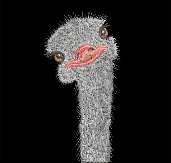 Ostrich Feather Embroidery Design – The Only Stitch