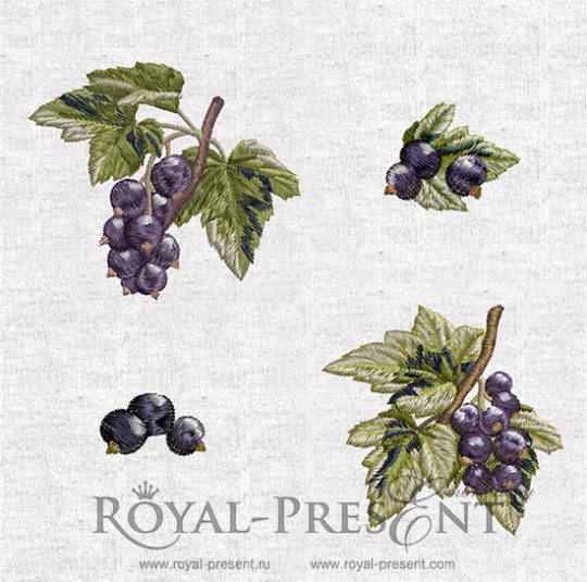 Set of Machine Embroidery Designs Black currants