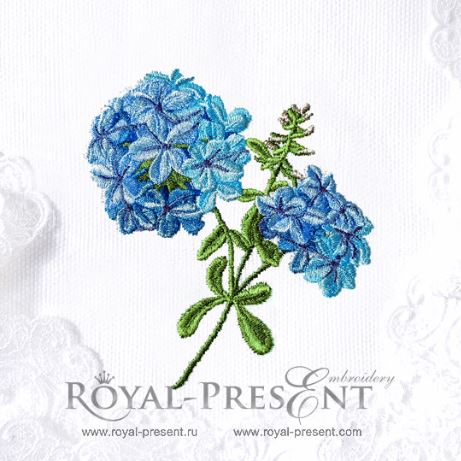 Phlox machine embroidery design