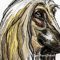 Afghan Hound Portrait - 5 sizes