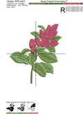 Amaranth Machine Embroidery Design - 2 sizes