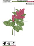 Amaranth Machine Embroidery Design - 2 sizes