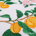 Apricots Embroidery Designs Set