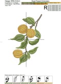 Apricots Embroidery Designs Set