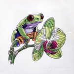 Tropical Frog on an orchid - 4 sizes