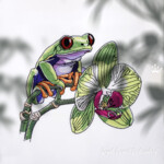 Tropical Frog on an orchid - 4 sizes