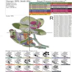 Tropical Frog on an orchid - 4 sizes