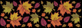 Autumn leaves border - 2 sizes
