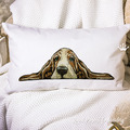 Basset Hound - 10 sizes
