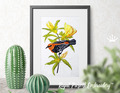 Beautiful Australian Bird Machine Embroidery Design