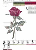 Rose in Classic Style - 4 sizes