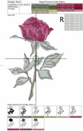 Rose in Classic Style - 4 sizes