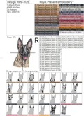 Belgian Shepherd Portrait - 5 sizes