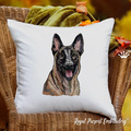 Belgian Shepherd Portrait - 5 sizes