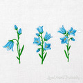 Blue Bluebell flowers Set - 4 sizes
