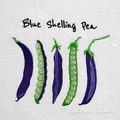 Blue Shelling Pea pods machine embroidery design - 4 sizes
