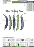 Blue Shelling Pea pods machine embroidery design - 4 sizes