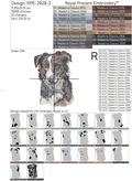 Border Collie - 5 Sizes