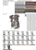 Border Collie - 5 Sizes
