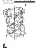 Border Collie Outline - 5 Sizes
