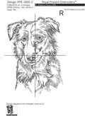 Border Collie Outline - 5 Sizes