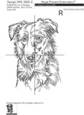 Border Collie Outline - 5 Sizes
