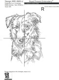 Border Collie Outline - 5 Sizes