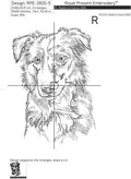 Border Collie Outline - 5 Sizes