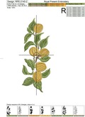 Branch Apricots for border Machine embroidery design - 4 sizes