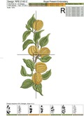 Branch Apricots for border Machine embroidery design - 4 sizes