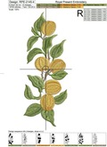 Branch Apricots for border Machine embroidery design - 4 sizes