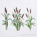 Bulrush Machine Embroidery Designs Set - 7 sizes