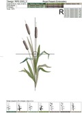 Bulrush Machine Embroidery Designs Set - 7 sizes