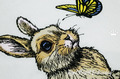 Bunny with butterfly Machine embroidery designs Set - 6 sizes