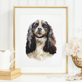 Cavalier King Charles Spaniel dog - 6 sizes