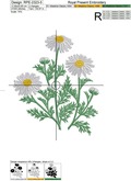 Chamomile Machine Embroidery design - 6 sizes