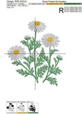 Chamomile Machine Embroidery design - 6 sizes