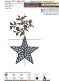 Checkered Christmas Star with Holly