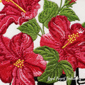 Checkered cup with hibiscus - 4 sizes