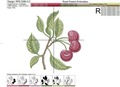 Cherries Machine Embroidery Designs Set - 4 sizes