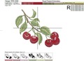 Cherries Machine Embroidery Designs Set - 4 sizes