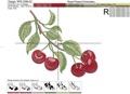 Cherries Machine Embroidery Designs Set - 4 sizes