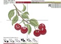Cherries Machine Embroidery Designs Set - 4 sizes