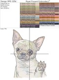 Chihuahua Portrait - 5 Sizes