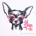 Chihuahua with glasses - 8 sizes