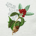Berry Branch Christmas Free - 3 sizes